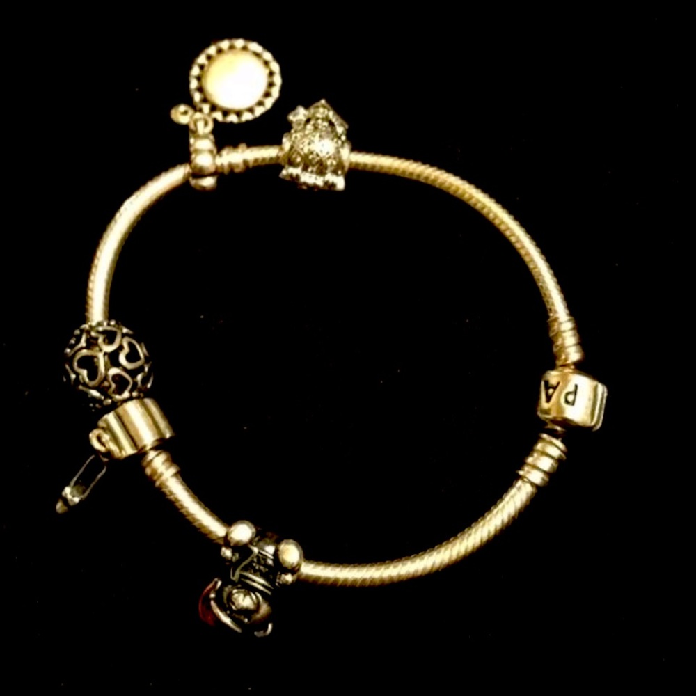 Pandora Charm Bracelet- charms sold separately!